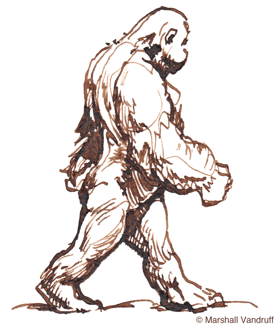 Pen & Ink Sketch of walking gorilla